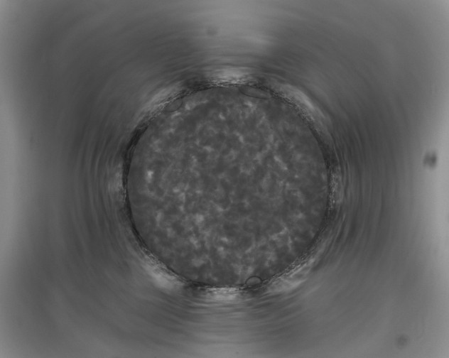 X0000097590377200803141900