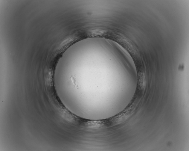 X0000097590378200803141900