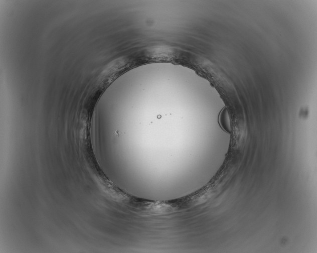 X0000097590379200803141900