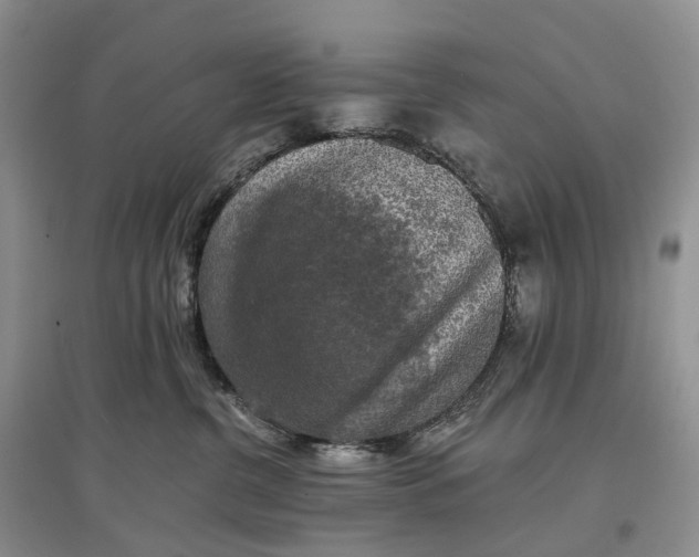 X0000097590380200803141900