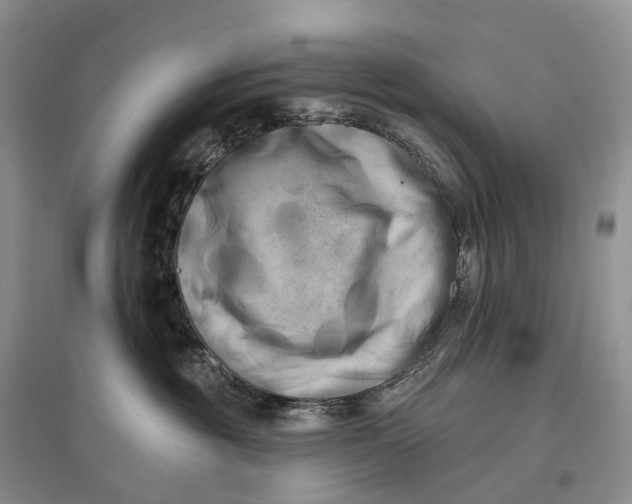 X0000097590381200803141900