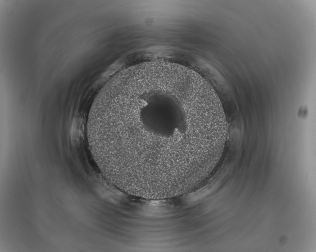 X0000097590382200803141900