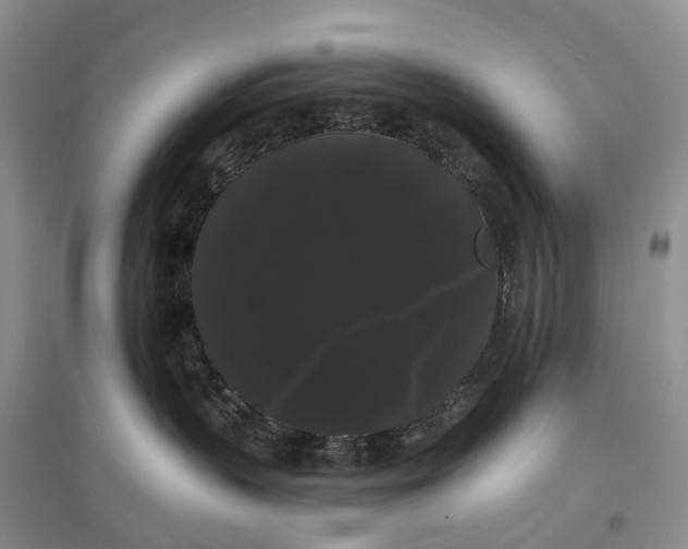 X0000097590383200803141900