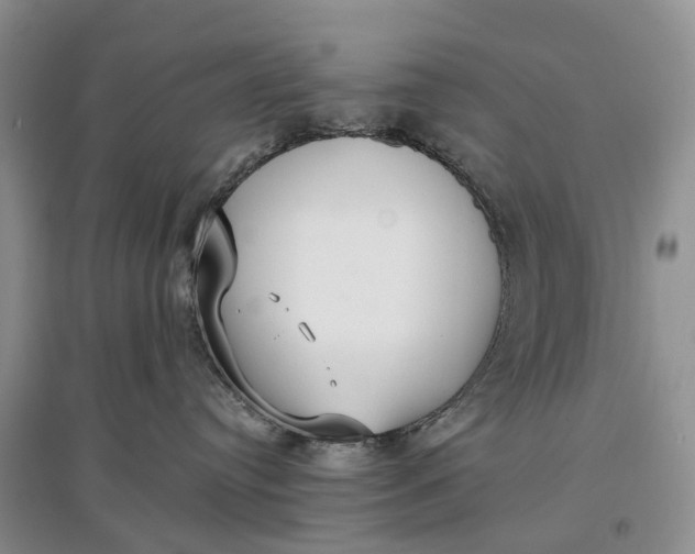 X0000097590384200803141900