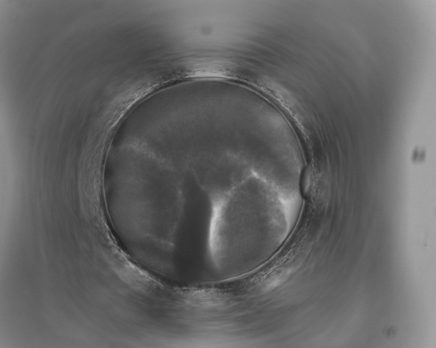 X0000097590385200803141859