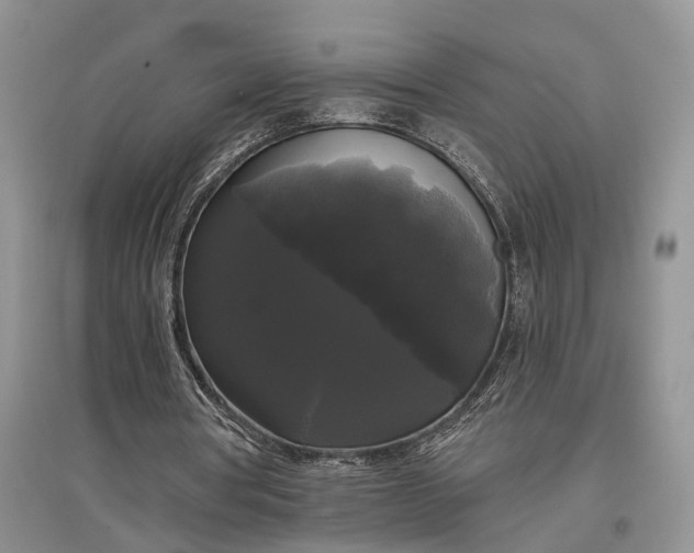 X0000097590386200803141859