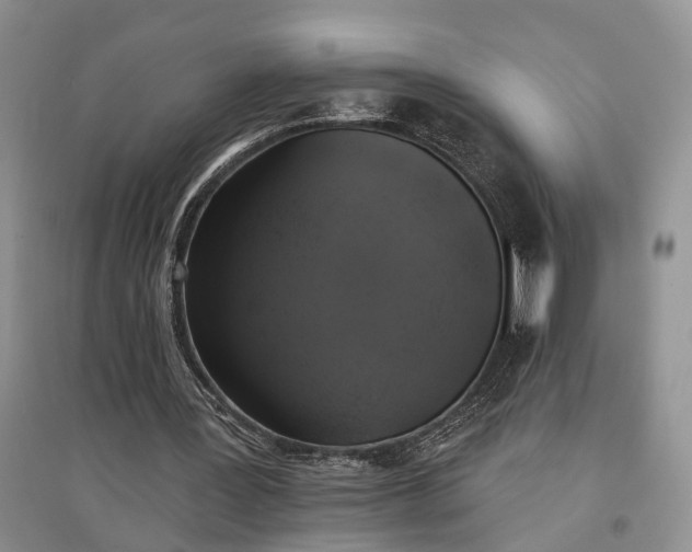 X0000097590387200803141859