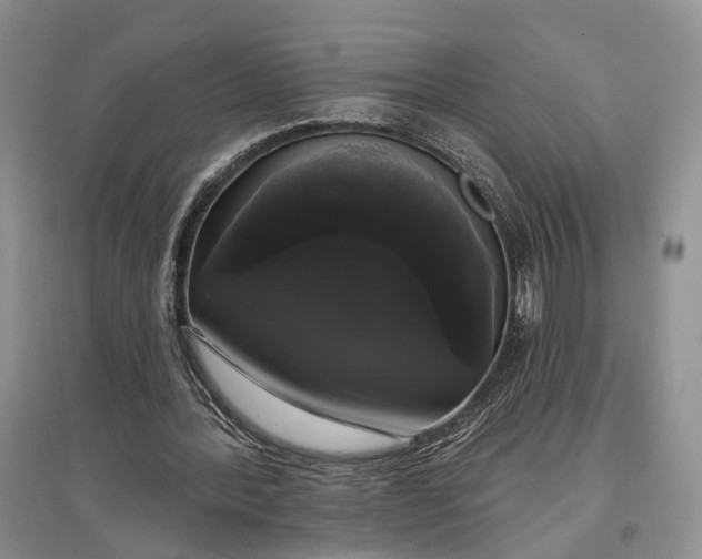 X0000097590388200803141859