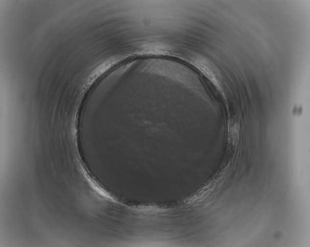 X0000097590389200803141859