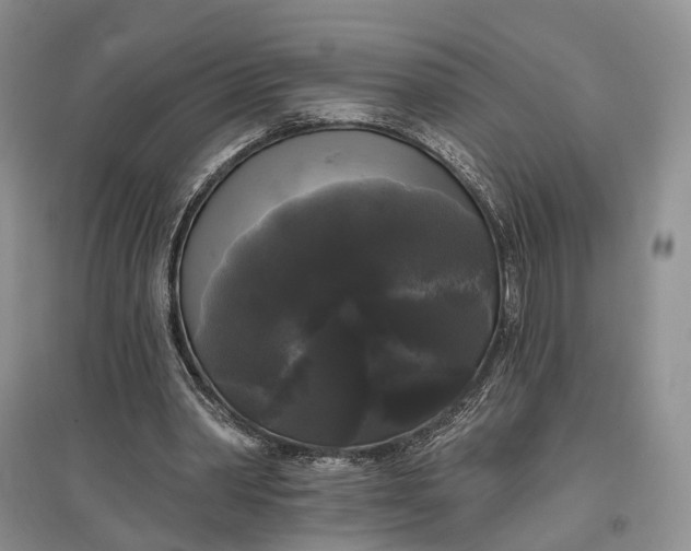 X0000097590390200803141859