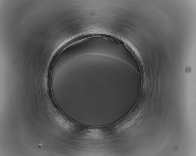 X0000097590391200803141859