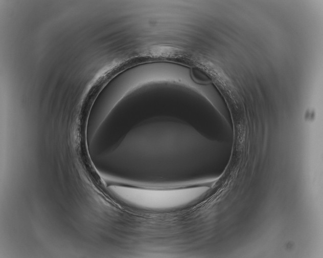 X0000097590392200803141859