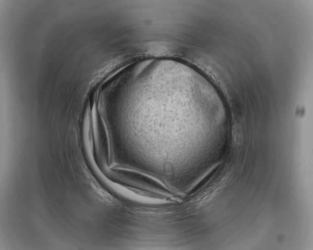 X0000097590393200803141859