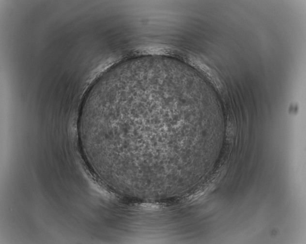 X0000097590394200803141859