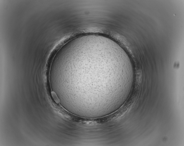 X0000097590395200803141859