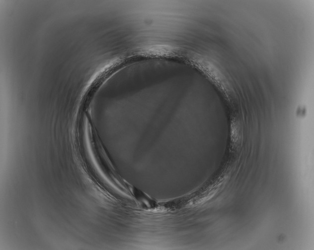 X0000097590396200803141859