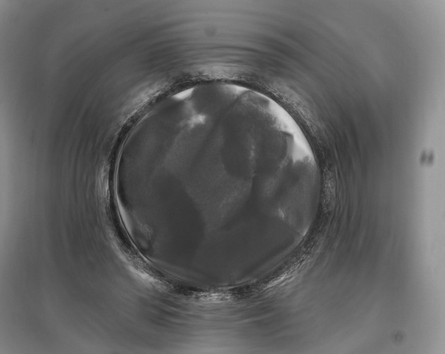 X0000097590398200803141859