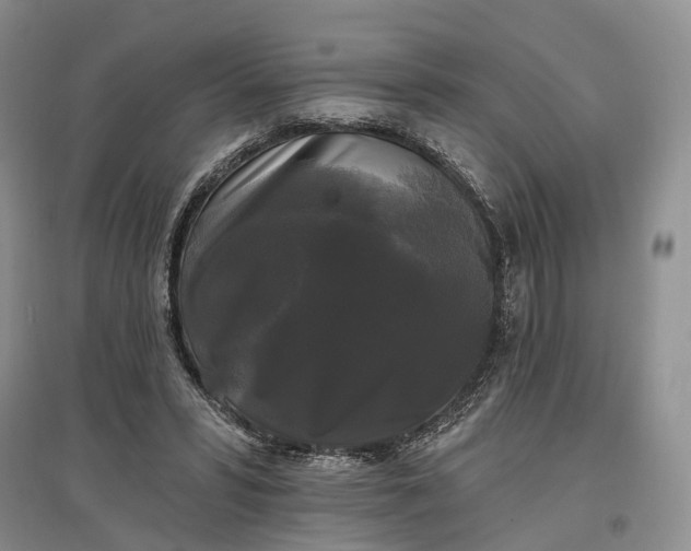 X0000097590399200803141859