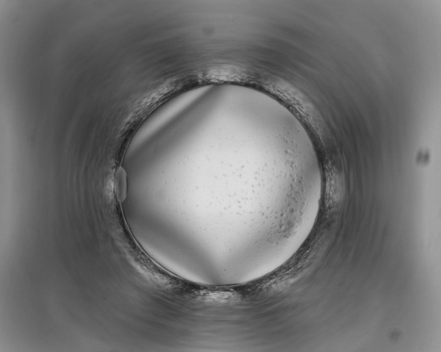 X0000097590401200803141859