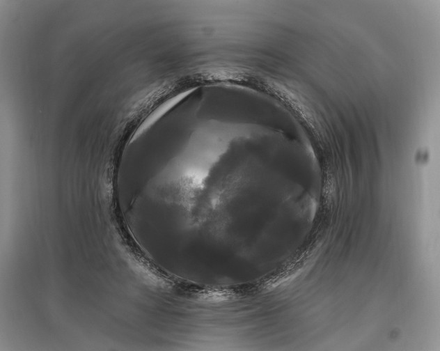 X0000097590402200803141859