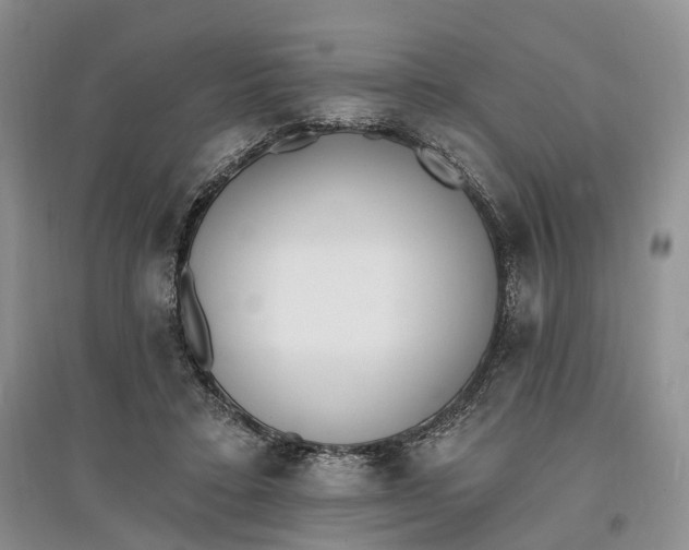 X0000097590403200803141859