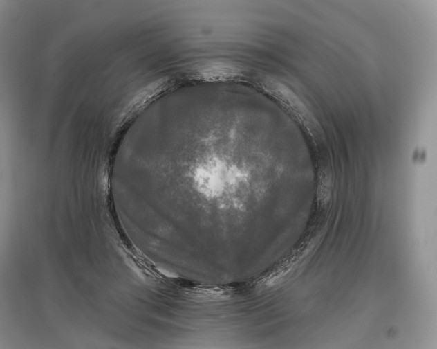 X0000097590405200803141859