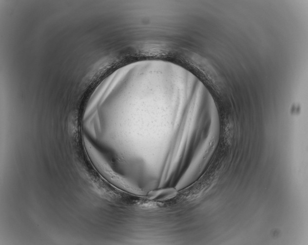 X0000097590407200803141859