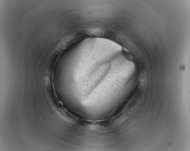 X0000097590408200803141859