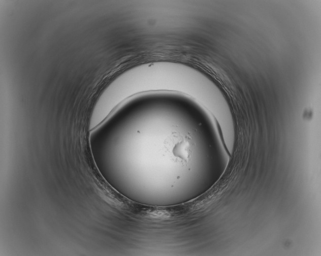 X0000097590409200803141859