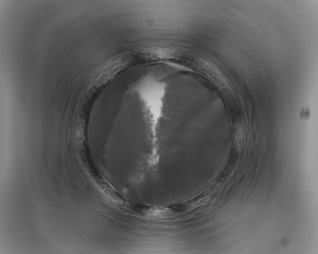 X0000097590410200803141859