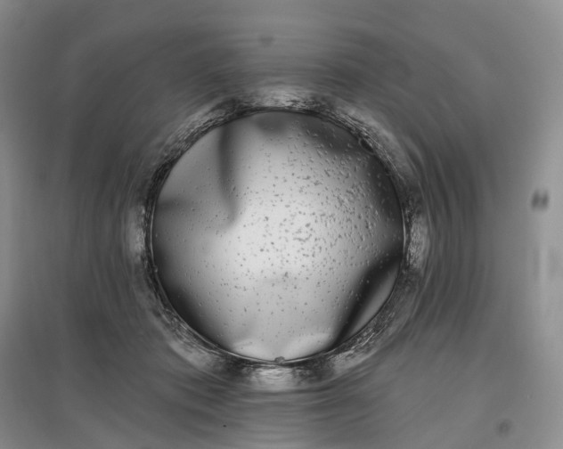 X0000097590413200803141859