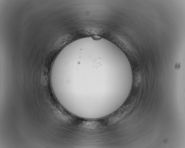 X0000097590414200803141859