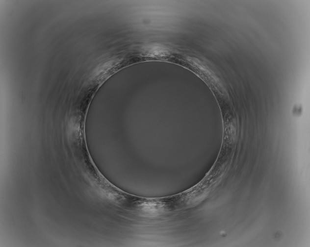 X0000097590415200803141859