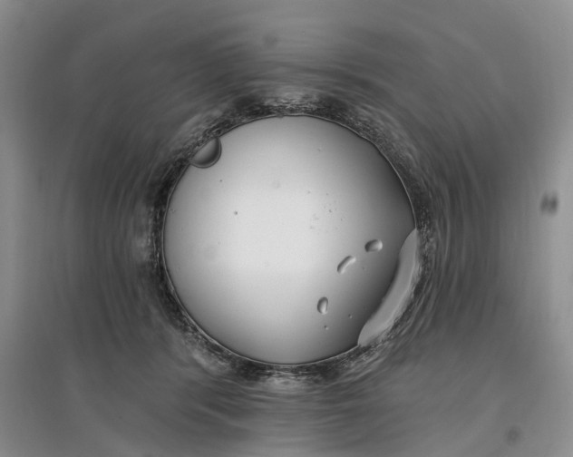 X0000097590416200803141859