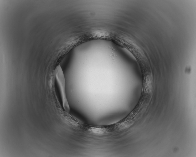 X0000097590417200803141859