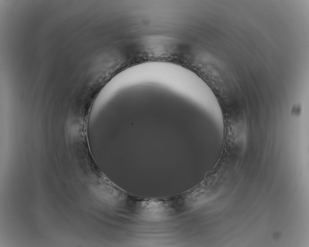 X0000097590419200803141859