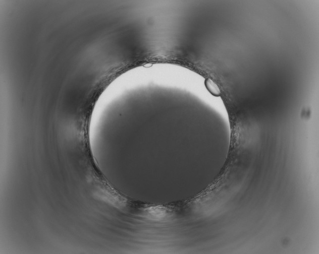 X0000097590423200803141859