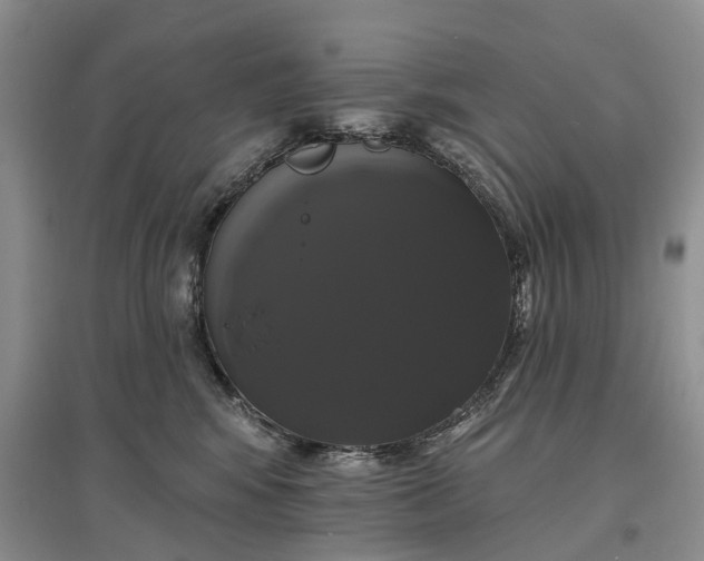 X0000097590424200803141858