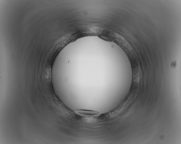 X0000097590425200803141858