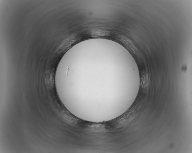 X0000097590426200803141858