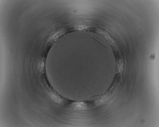 X0000097590427200803141858