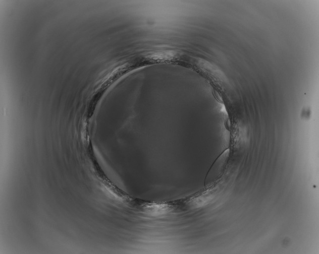 X0000097590428200803141858