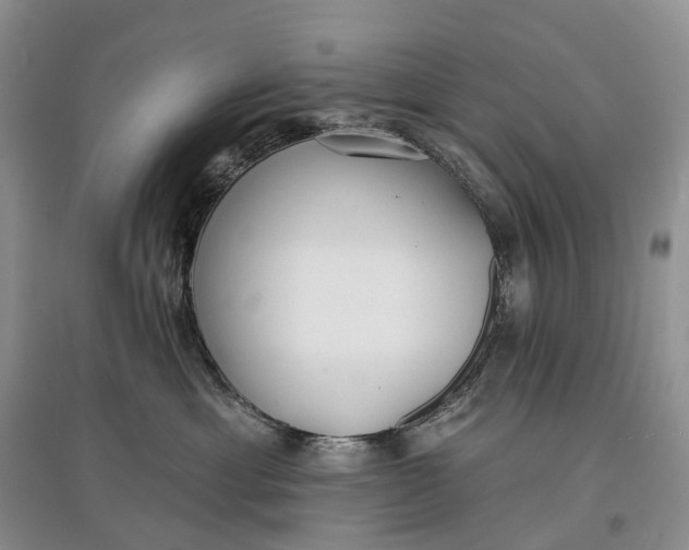 X0000097590429200803141858