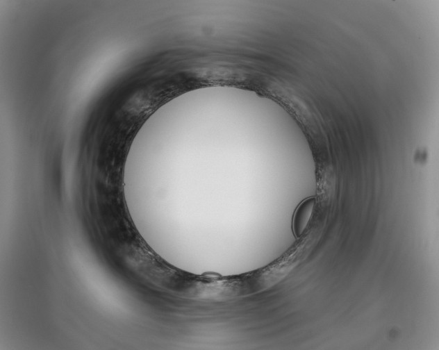 X0000097590430200803141858