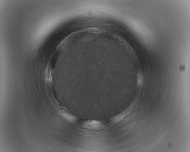 X0000097590431200803141858