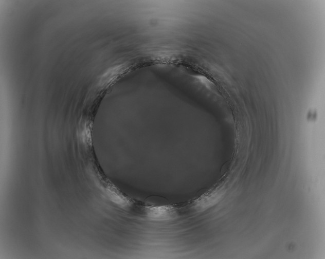 X0000097590432200803141858