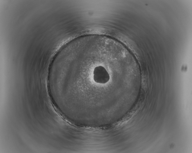 X0000097590434200803141858