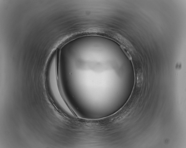 X0000097590436200803141858