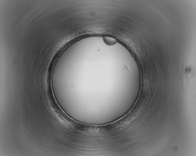 X0000097590439200803141858