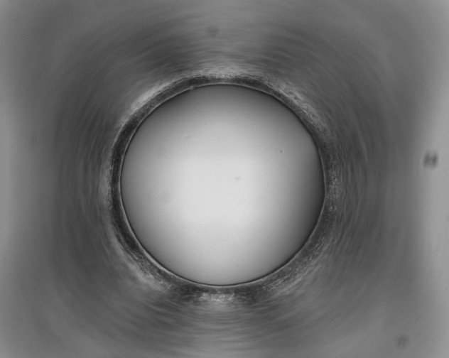 X0000097590440200803141858